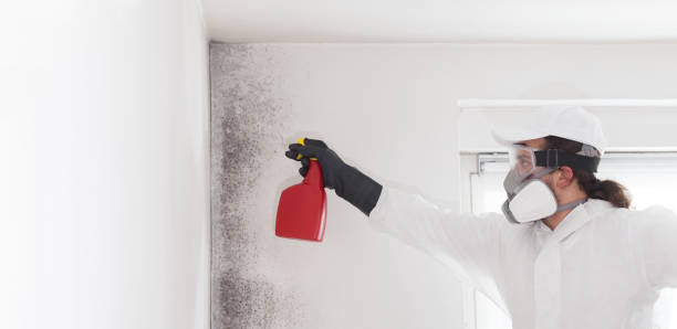 Water Damage Restoration in Opelousas, LA