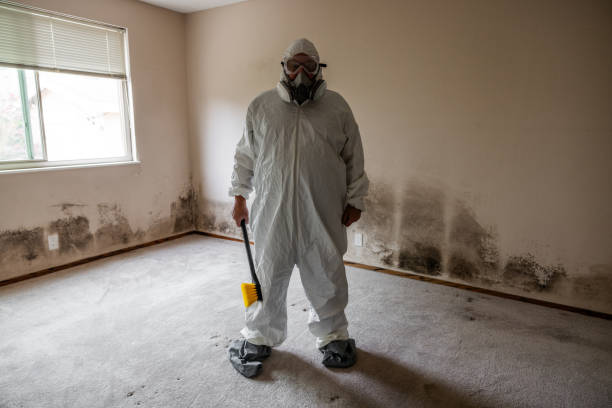 Professional Mold Removal in Opelousas, LA